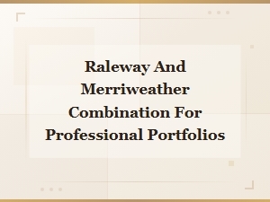 Best Raleway and Merriweather Font Pairing for Professional Portfolios
